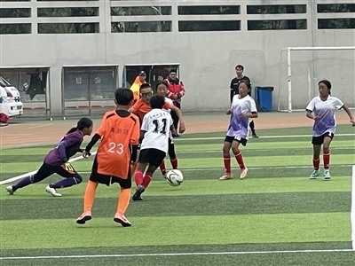 组中角逐, 中区古韵, 人气